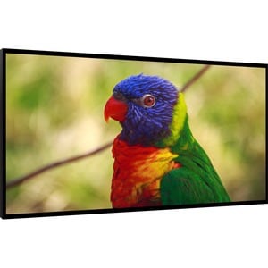 DynaScan DI651ST2 65" Digital Signage Display
