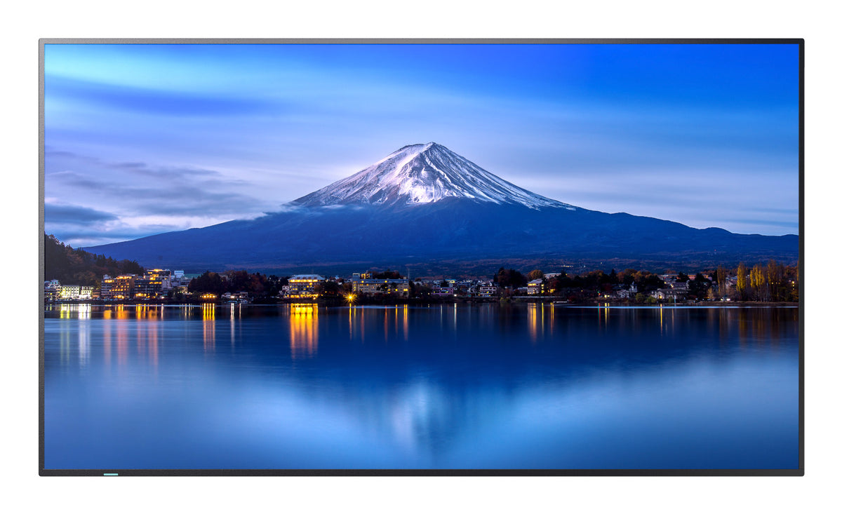 55" UHD Professional Display