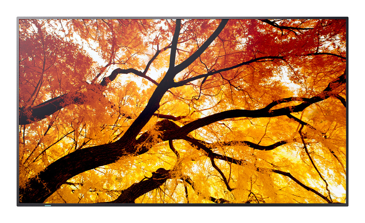 Sharp 32" Professional Grade Display