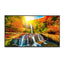 Sharp 43" Ultra High Definition Commercial Display